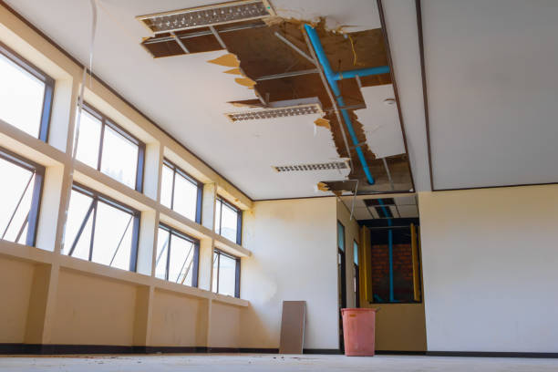 Best 24/7 water damage repair  in Pelion, SC