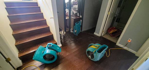 Best Local water damage restoration  in Pelion, SC