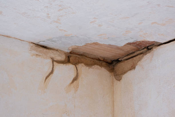 Best Ceiling water damage repair  in Pelion, SC