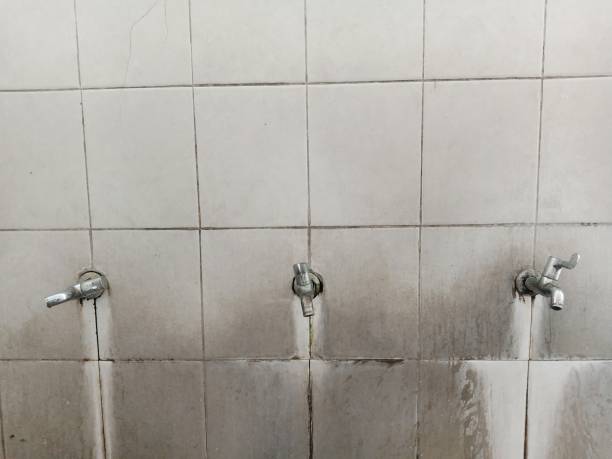 Best Professional water damage repair  in Pelion, SC