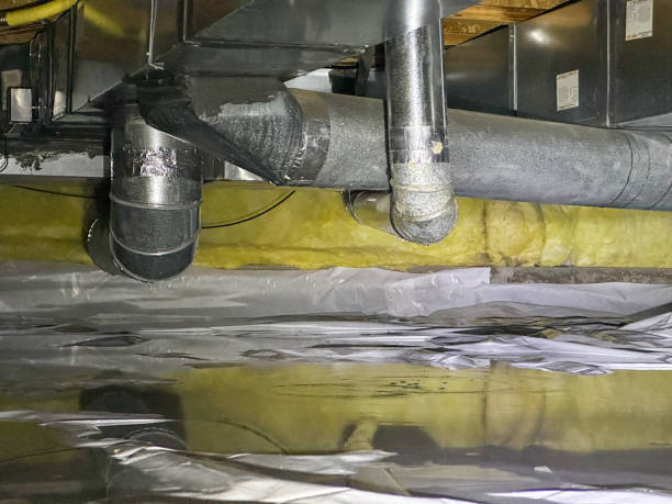 Best Local water damage restoration  in Pelion, SC
