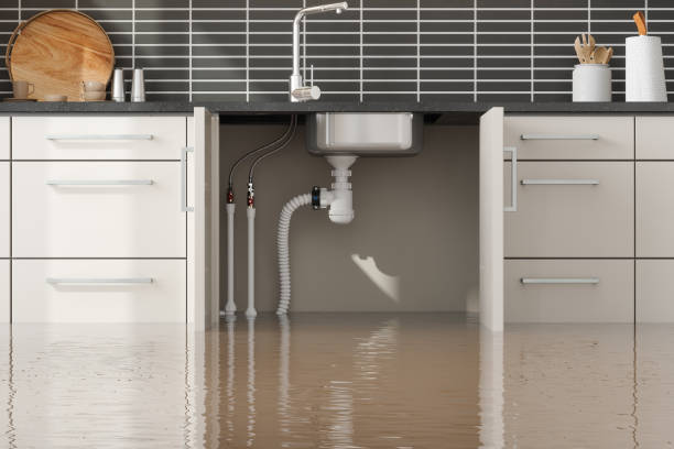 Best Water damage restoration near me  in Pelion, SC