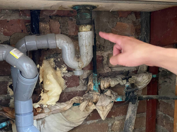 Best Flood damage cleanup  in Pelion, SC